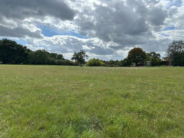 Rare sur le secteur ! Longère implantée sur son terrain de près de 4h².