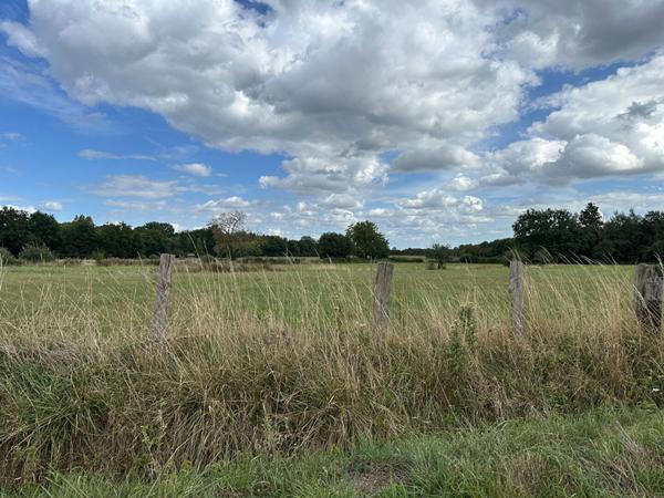 Rare sur le secteur ! Longère implantée sur son terrain de près de 4h².