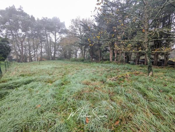 Terrain à vendre de 2 295 m²