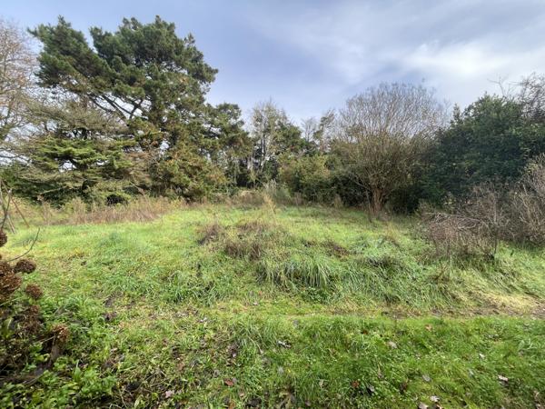 Maison de 100 m2 à rénover / Terrain à réhabiliter