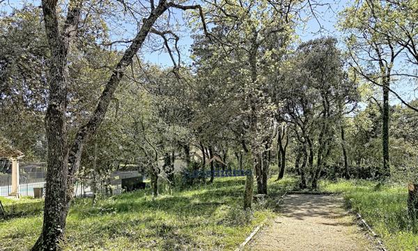 Saint-Restitut (26130) Belle villa avec piscine et studio dans environnement naturel préservé