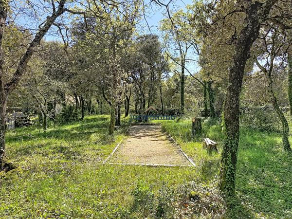 Saint-Restitut (26130) Belle villa avec piscine et studio dans environnement naturel préservé