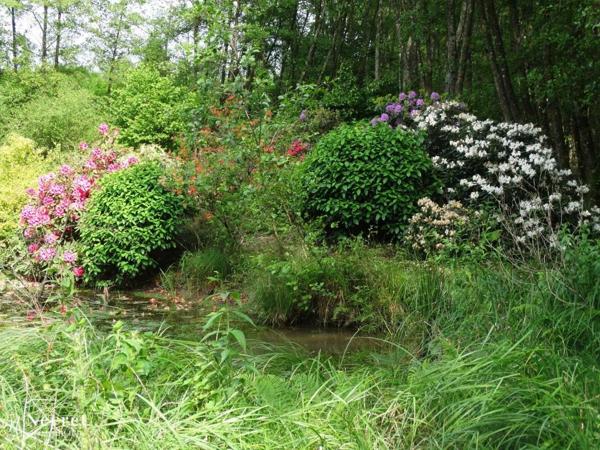 Propriété composée de cinq chalets et deux étangs