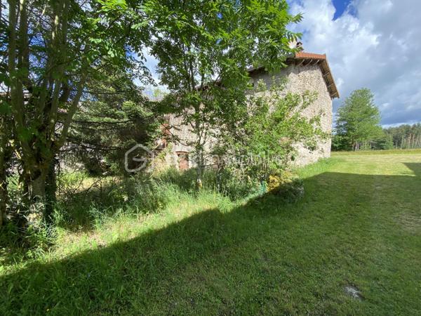 Ancien corps de ferme en pierre à rénover, comprenant une habitation composée au rez de chaussée, d'une cuisine / séjour, d'un bureau, d'une salle d'eau/wc et d'une ancienne écurie de 47m2 env. Au premier étage, on retrouve 2 chambres et une ancienne grange de 72m2 env. L'annexe accolée, est une ferme en pierres à restaurer également, elle est composée de 2 plateaux de 63m2 env chacun. Le terrain attenant est clos, exposé au Sud d'une surface de 530 m2 env. avec un puits. Le Gros œuvre est en bon état.
Le raccordement au réseau d'eau de ville, le chauffage et l'assainissement individuel sont à prévoir.