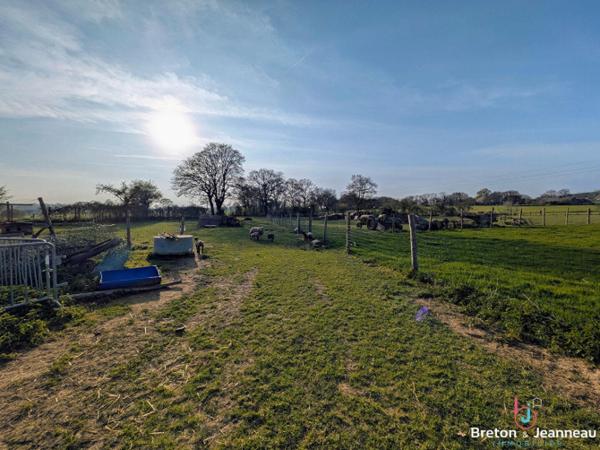 Maison de plain-pied sur 1 ha 74 secteur Evron