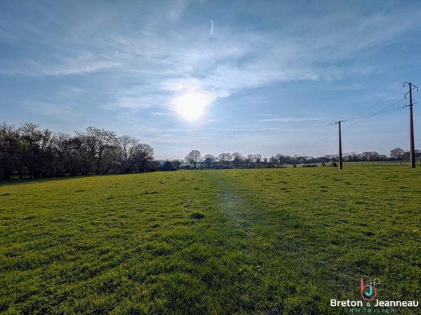 Maison de plain-pied sur 1 ha 74 secteur Evron