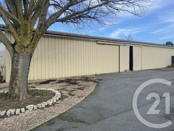 Maison à vendre  5 pièces - 159,10 m2 ST PIERRE D OLERON - 17