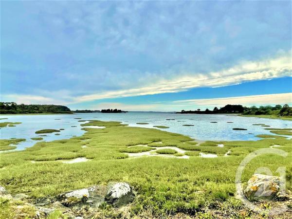 Maison à vendre  7 pièces - 225 m2 SENE - 56