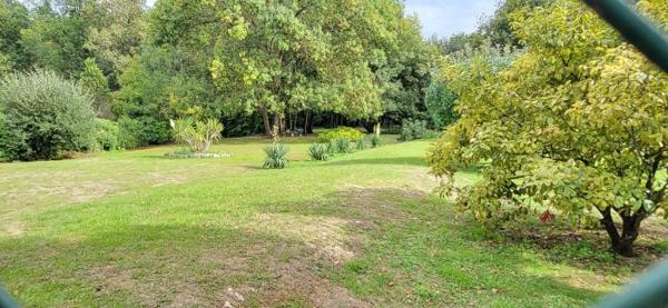 Maison ancienne Courcelles 185 m²