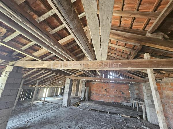 Terrain de 1 130 m²