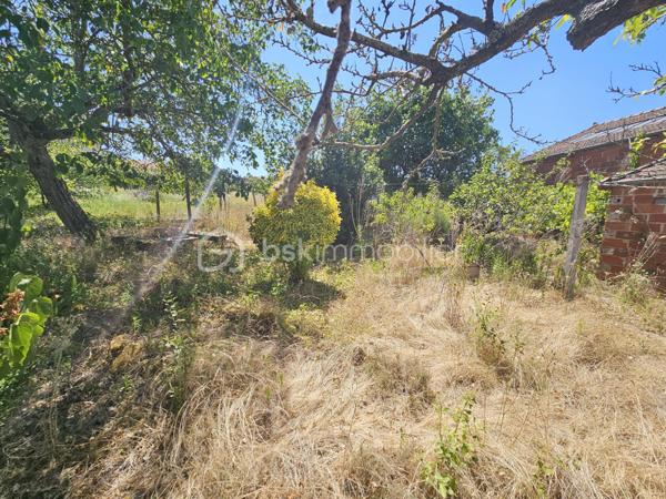 Terrain de 1 130 m²