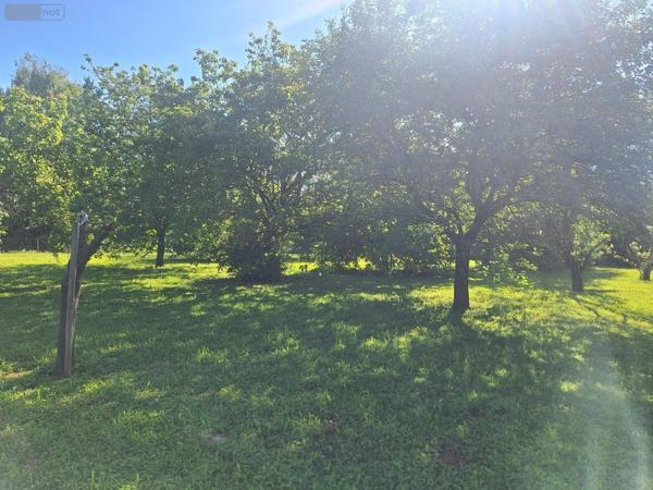 Terrain à Batir à vendre à Savigné-l'Évêque dans la Sarthe (72460), ref : 013-2056
