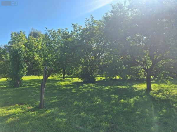 Terrain à Batir à vendre à Savigné-l'Évêque dans la Sarthe (72460), ref : 013-2056
