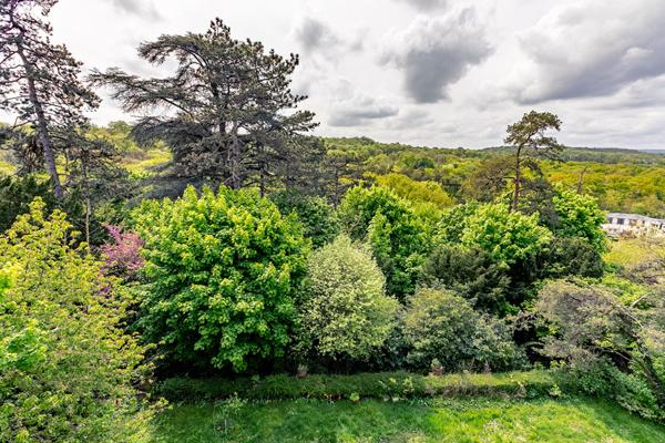 Villa avec vue, piscine et parc arboré, dépendances et maison de gardien à Coye la forêt