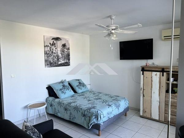 STUDIO AVEC PISCINE 29M² MEUBLE SAINT PIERRE