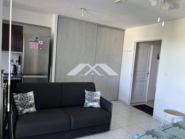 STUDIO AVEC PISCINE 29M² MEUBLE SAINT PIERRE