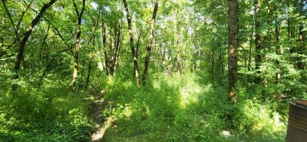 Maison plain-pied Cherves-Richemont 155 m²