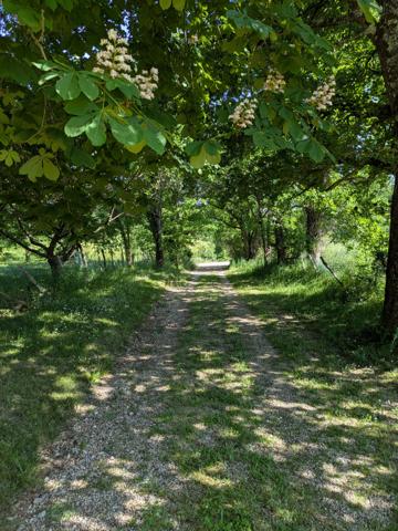 Maison de campagne entre Angoulême et Bordeaux