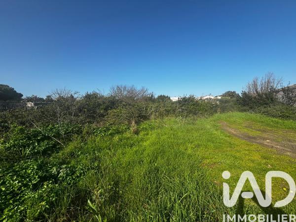 Terrain à vendre 1 394 m² Rivedoux-Plage