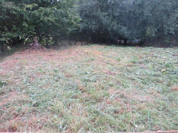 Maison à vendre à Malloué dans le Calvados (14350), ref : 14076-5842