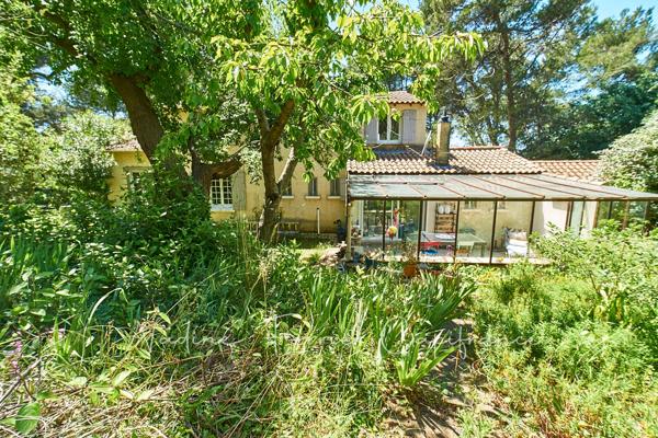 Maison rénovée avec grand terrain, vue dégagée sur le Luberon et piscine.