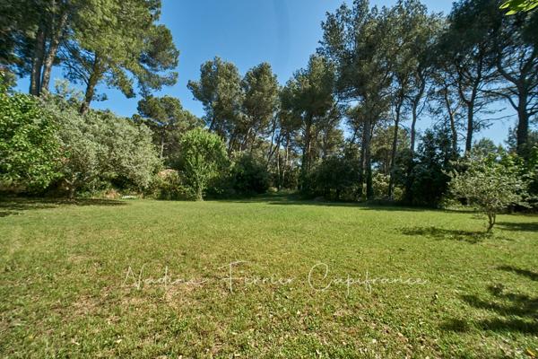 Maison rénovée avec grand terrain, vue dégagée sur le Luberon et piscine.