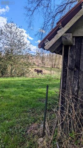 Maison rurale à vendre à Langeais dans l'Indre-et-Loire (37130), ref : OFFICE PIQUEMAL - TOURS   
LA ROUCHOUSE
