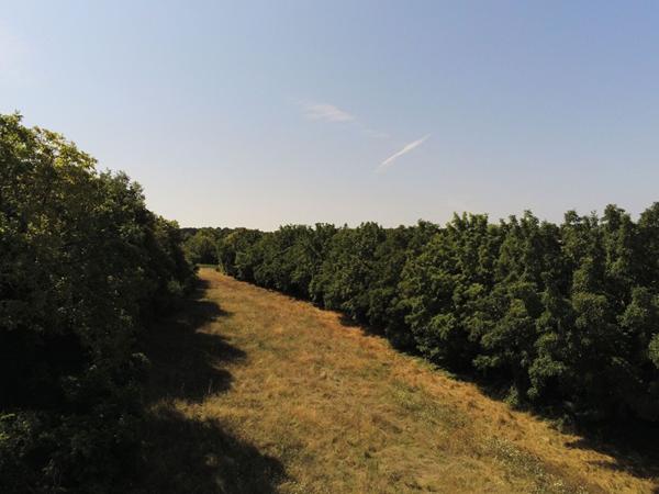 Terrain 4 pièces à vendre Monthoiron - 86210 / Réf: 11730