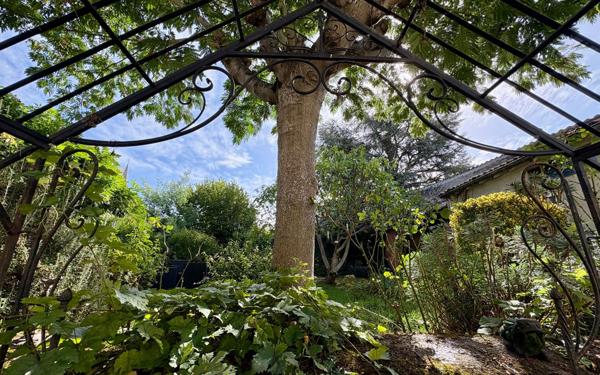 Maison à vendre    7 pièces •  Montmorillon