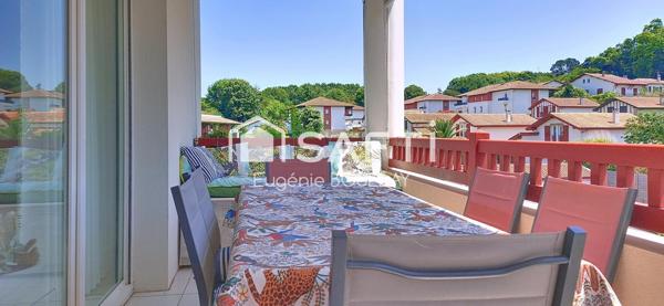 Bel appartement avec terrasse, vue  Rhune, piscine