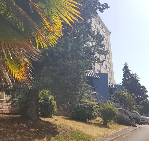 Studio rénové 17m²