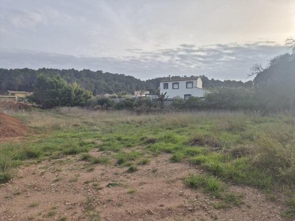 Vente / Terrain constructible