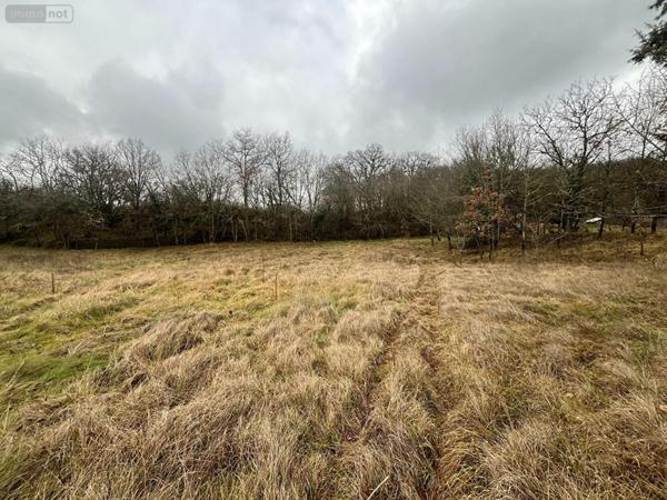Terrain à Batir à vendre à Béduer dans le Lot (46100), ref : TER31