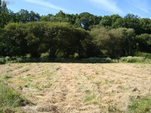 Achat - Terrain à bâtir Pontivy 56300 4053 m 2