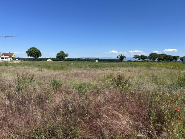 Vente / Terrain constructible