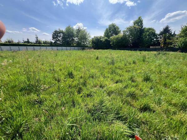 terrain de 1153m2 a Moncé en Belin