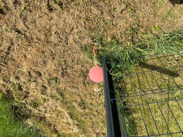 terrain de 1153m2 a Moncé en Belin