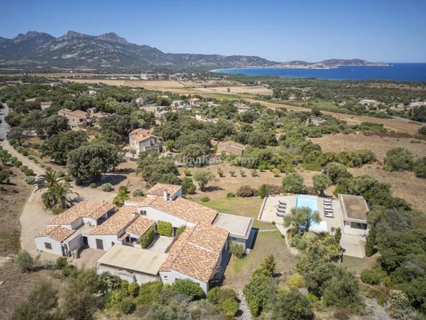 Vente Propriété 7 pièces 378 m2 à Lumio