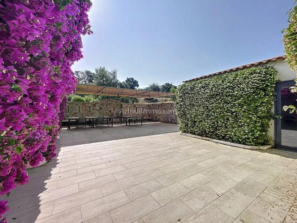 Vente Propriété 7 pièces 378 m2 à Lumio