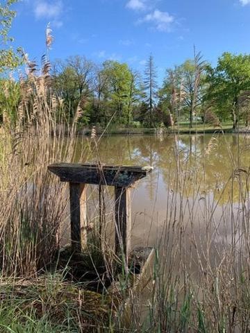 Étang à vendre à Mézières-en-Brenne dans l'Indre (36290), ref : 1049343