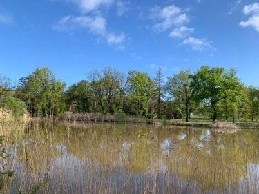 Étang à vendre à Mézières-en-Brenne dans l'Indre (36290), ref : 1049343
