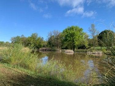Étang à vendre à Mézières-en-Brenne dans l'Indre (36290), ref : 1049343