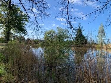 Étang à vendre à Mézières-en-Brenne dans l'Indre (36290), ref : 1049343