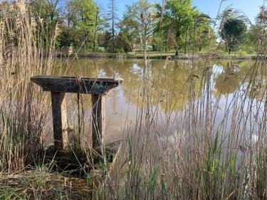 Étang à vendre à Mézières-en-Brenne dans l'Indre (36290), ref : 1049343