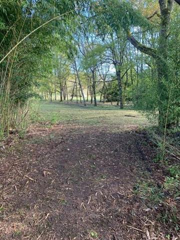 Étang à vendre à Mézières-en-Brenne dans l'Indre (36290), ref : 1049343