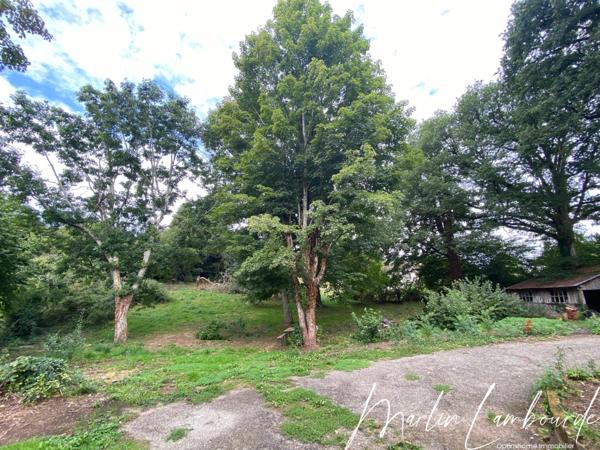 Bujaleuf - Maison 148 m² sur jardin arboré - 3 chambres - sous-sol