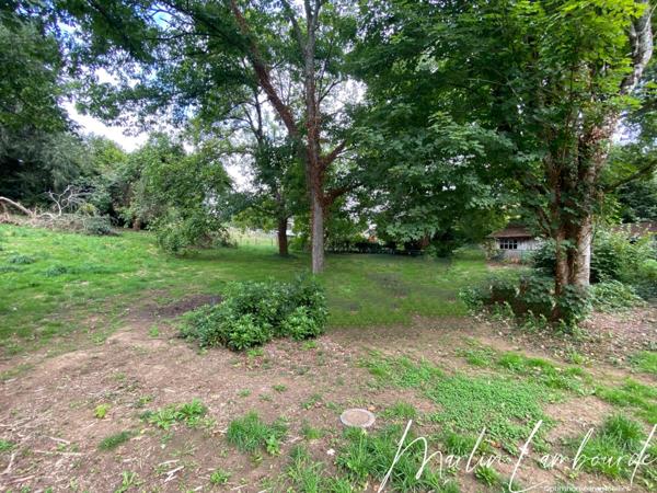 Bujaleuf - Maison 148 m² sur jardin arboré - 3 chambres - sous-sol