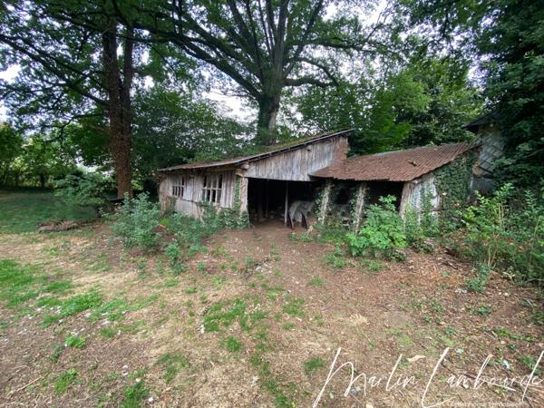Bujaleuf - Maison 148 m² sur jardin arboré - 3 chambres - sous-sol