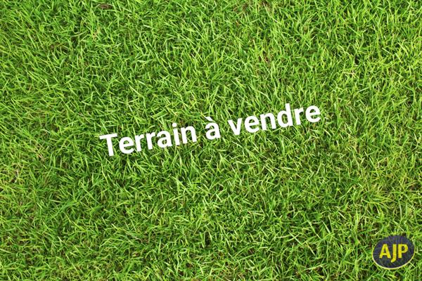 Vente terrain Lizio : 34 500 € - AJP Immobilier Plumelec
