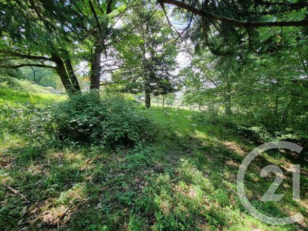 terrain à vendre  2500 m2 ENCAUSSE LES THERMES - 31
